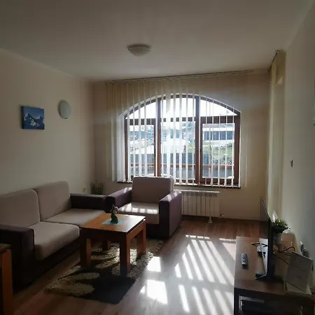 Sunny By The Lift In