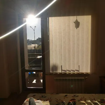 Sunny By The Lift In